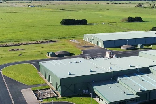 Dairy and Supplements