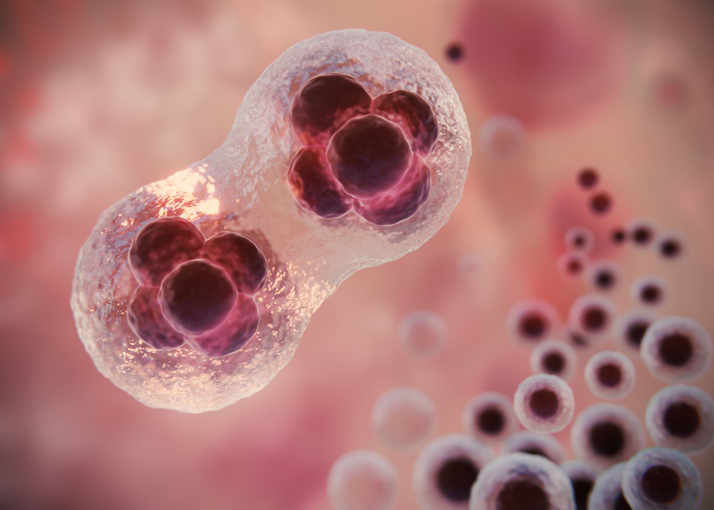 Healthcare – Stem Cells