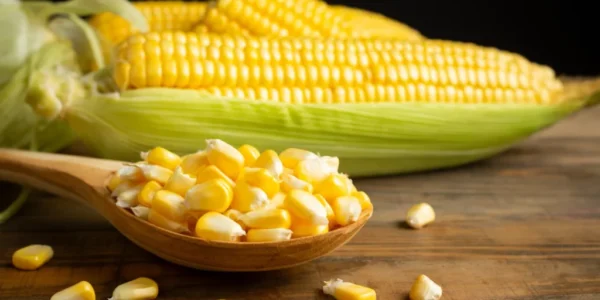 Corn