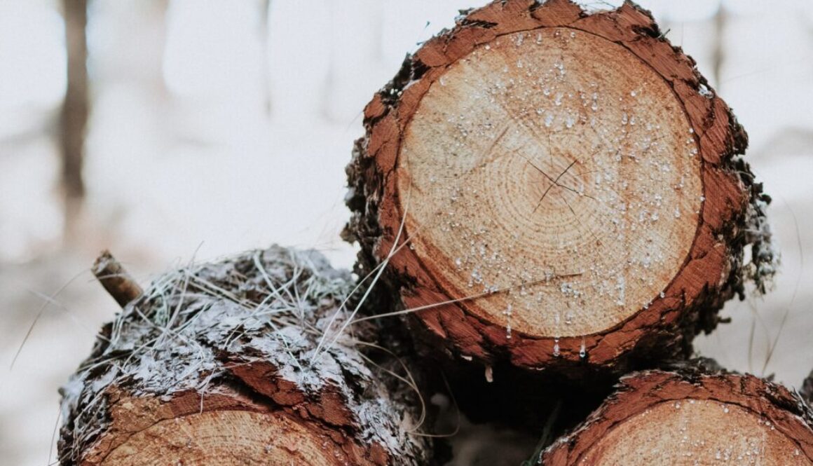 A vertical shot of a stack of wood logs