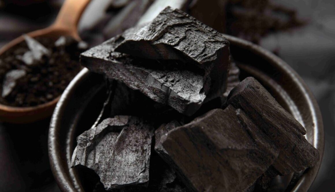 still-life-ashes-with-charcoal (3)